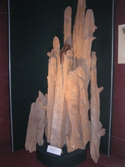 <i>vestiges des poutres de la citadelle d'Erebouni (3000 ans)</i>